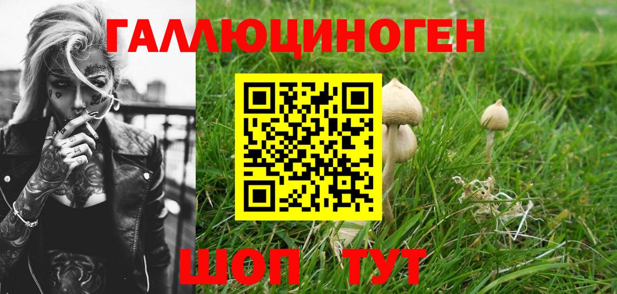 Псилоцибиновые грибы MAGIC MUSHROOMS  Псилоцибиновые грибы Psilocybine cubensis  Старая Купавна  Вход с VPN 